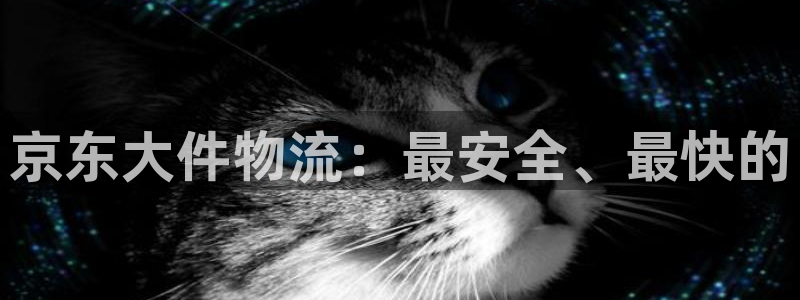 tp钱包官方下载：京东大件物流：最安