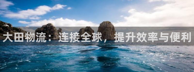 tp钱包费用：大田物流：连接全球，提