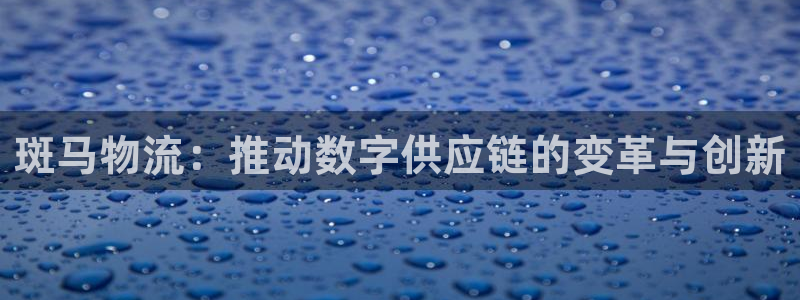 tp钱包下载app最新版本：斑马物流