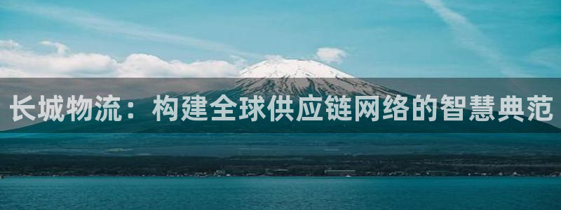 tp钱包里的usdt怎么卖：长城物流
