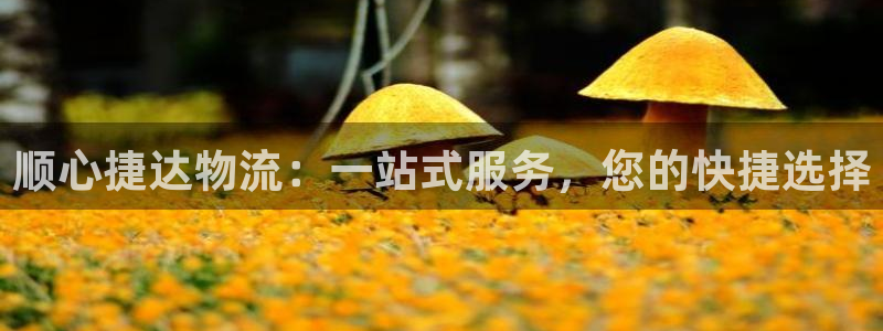 tp钱包的币转出多久到账：顺心捷达物
