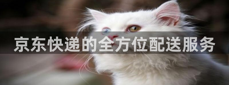 tp钱包官网地址下载：京东快递的全方