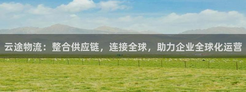 钱包tp图片：云途物流：整合供应链，