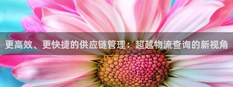 tp钱包被偷：更高效、更快捷的供应链