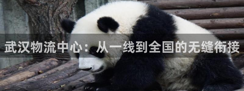 tp属于冷钱包吗：武汉物流中心：从一