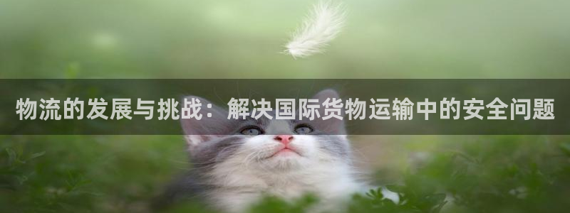 tp钱包app手机号在哪里找出来的：