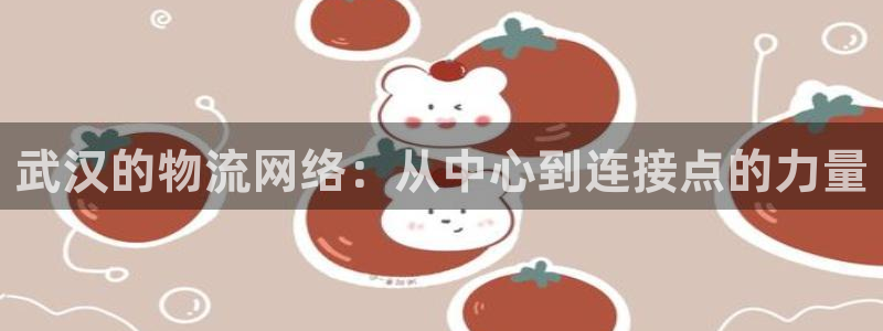 tptp下载安卓下载：武汉的物流网络