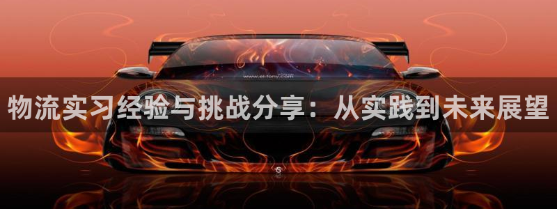 tp钱包提币不到账怎么办：物流实习经