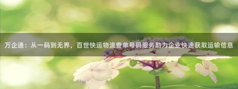 tp钱包怎么删除观察钱包：万企通：从
