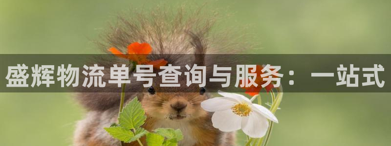 TP钱包怎么下不了：盛辉物流单号查询