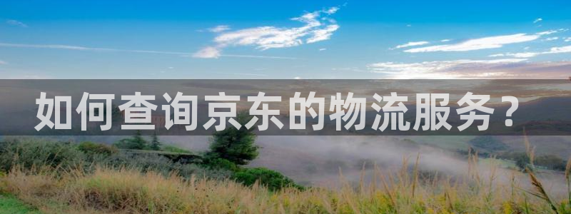 tp钱包的eth：如何查询京东的物流