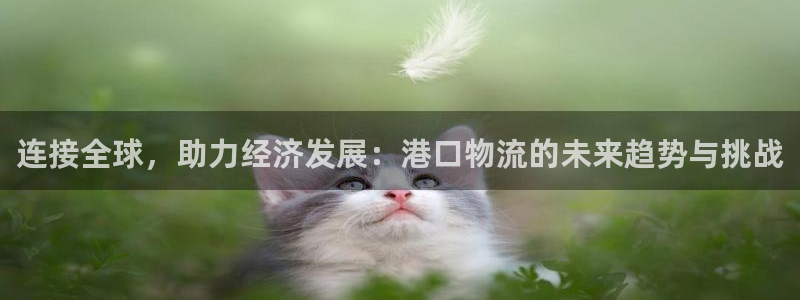 tp钱包怎么币币兑换：连接全球，助力