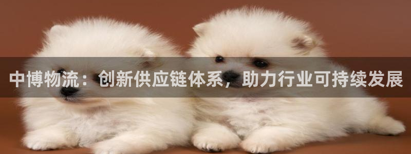 tp钱包购买sol链土狗用哪个dap