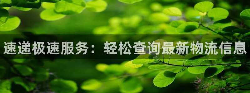 tp钱包被盗最新消息：速递极速服务：