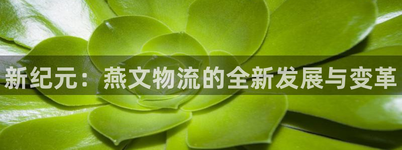 tp钱包电话：新纪元：燕文物流的全新发展与变革