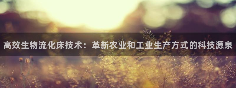 tp钱包怎么样?：高效生物流化床技术
