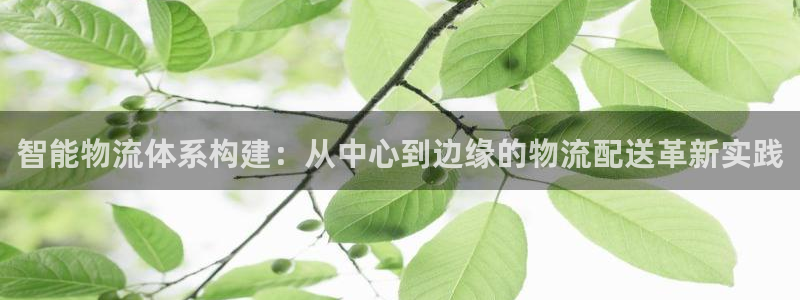 Tp钱包的高级模式在那：智能物流体系