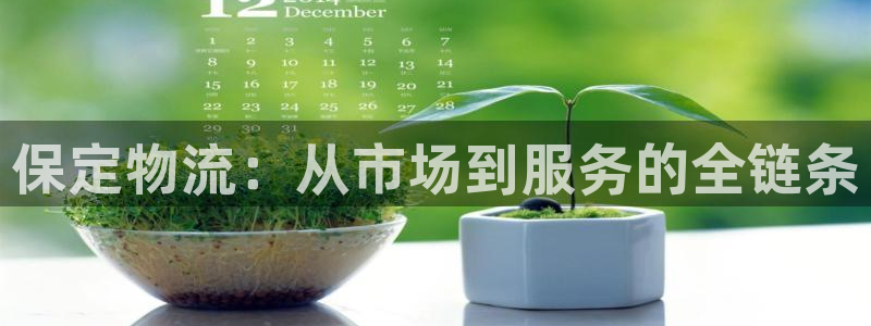 tp钱包里的usdt：保定物流：从市
