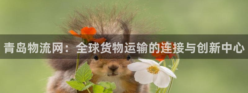 tp钱包nonce太低怎么解决：青岛