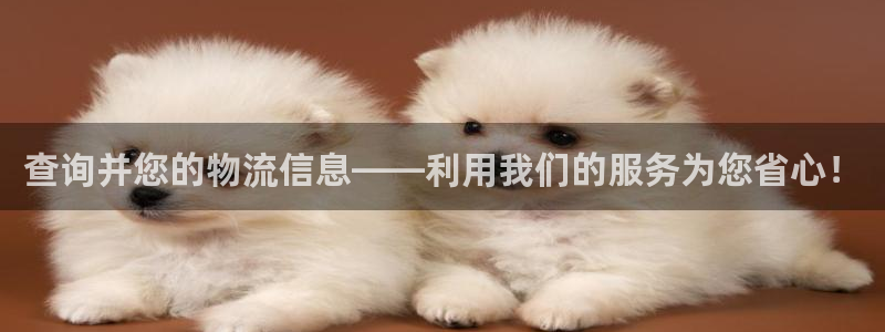tp钱包怎么联系客服人工服务