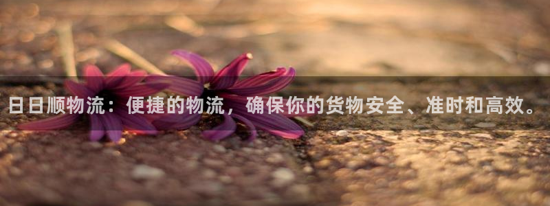 tpg软件下载：日日顺物流：便捷的物
