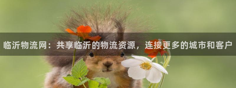 TP钱包被盗怎么修复：临沂物流网：共
