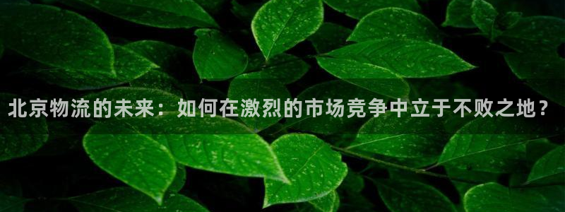 tp钱包怎样充钱：北京物流的未来：如